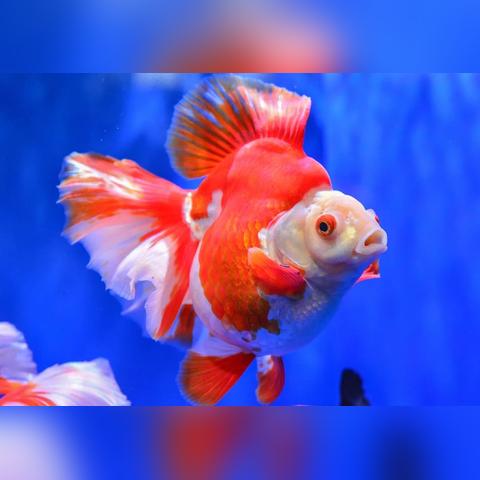 泉州市东海抖音的长尾关键词有哪些