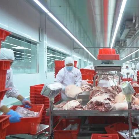 临沂市屠宰公司地址在哪里