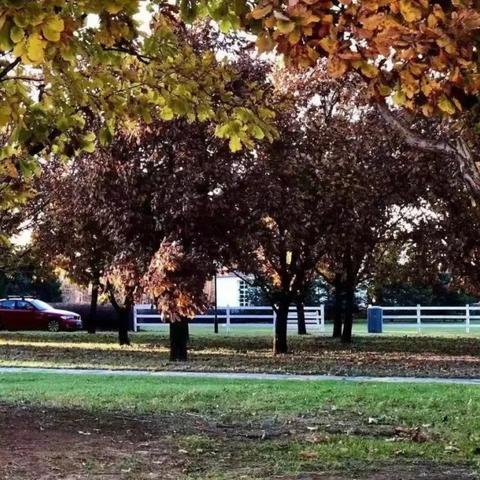 哈尔滨市绿化相关长尾关键词有哪些