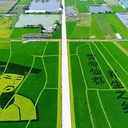 合肥到缙云的火车相关长尾关键词有哪些