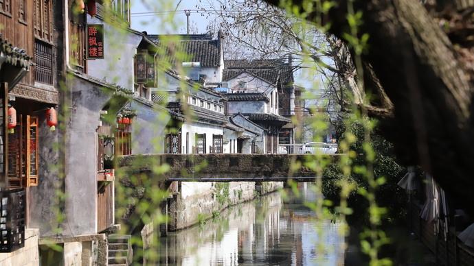 上海有什么美食区（上海地区哪个地方有专门吃小吃的街）