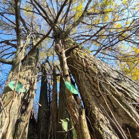 河南新县生活怎么样