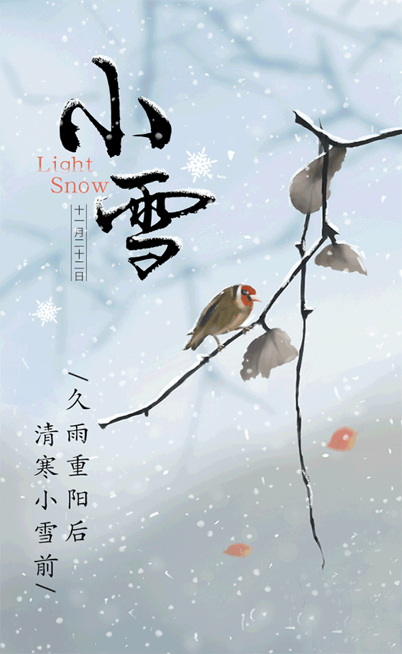 今日小雪微信朋友圈发什么