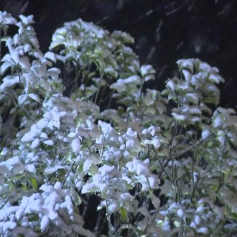 昭阳区天气预报详情的长尾关键词有什么