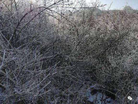 莱芜女宝宝起名怎么收费(全国的地名)