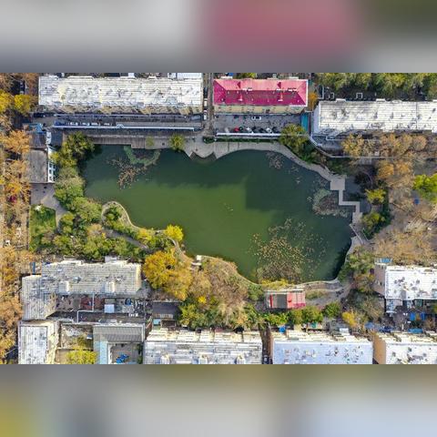 济南市区是指哪个区