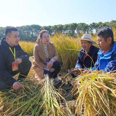 莆田市与无锡市哪个好