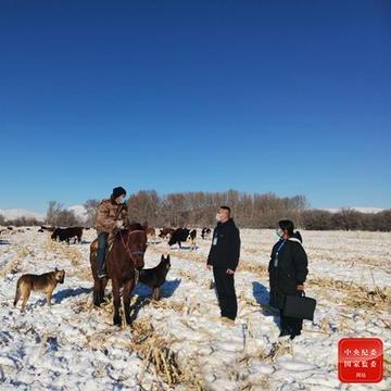 无锡市阳光牧场招聘的长尾关键词有哪些