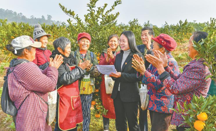 武勝柑橘種植手藝_四川南充市嘉陵區有幾鎮