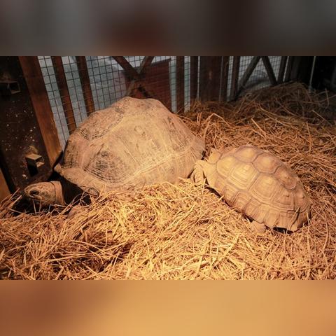 厦门保育员技校实操考试是怎么考？