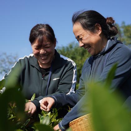 临沂市的中部是哪里