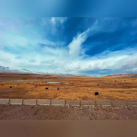 3月8日今日生肖运势(2021年3月8日生肖财运)