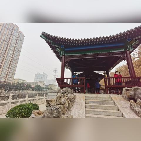 河北省石家庄市月季直播间的长尾关键词有什么