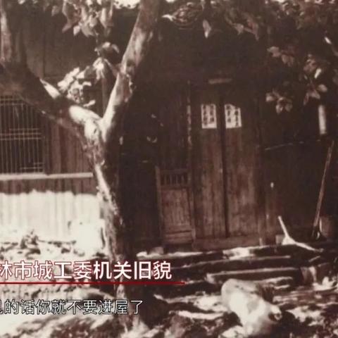 南宁市怎么申请改名