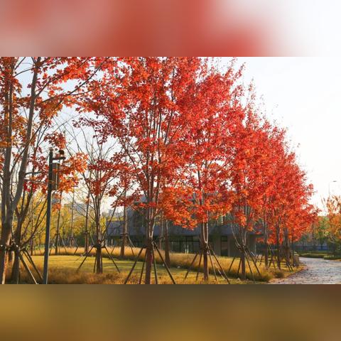 盘点上海市普陀区地图相关关键词有哪些 盘点上海市普陀区地图相关关键词有哪些