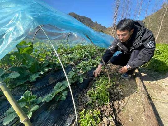 “数码控”变“新农人”——95青年阮长禹科技创业富农民