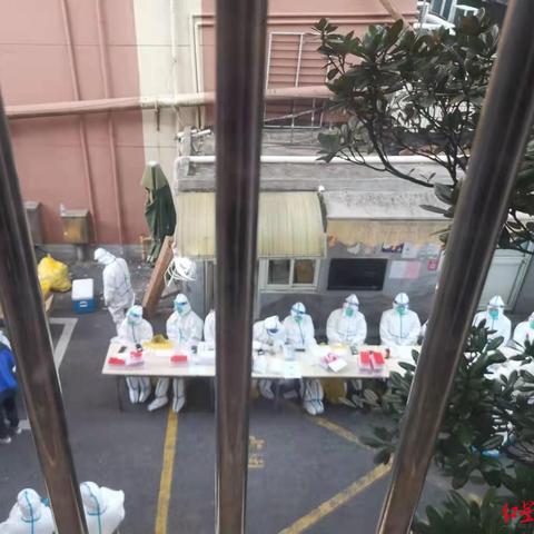 上海检测项目有哪些