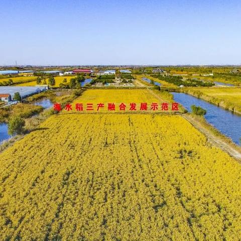 潍坊市寒亭区哪里有海