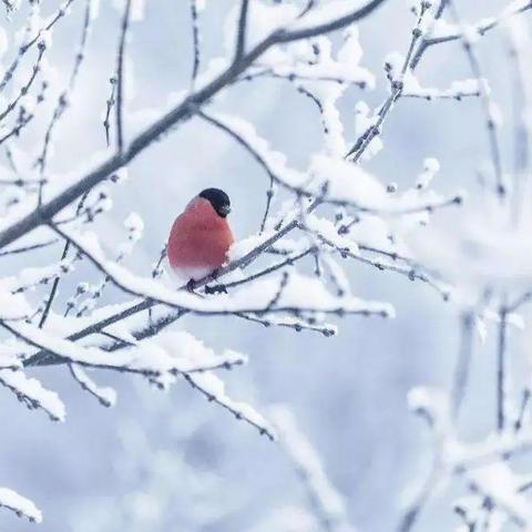 邯郸市最底工资多少