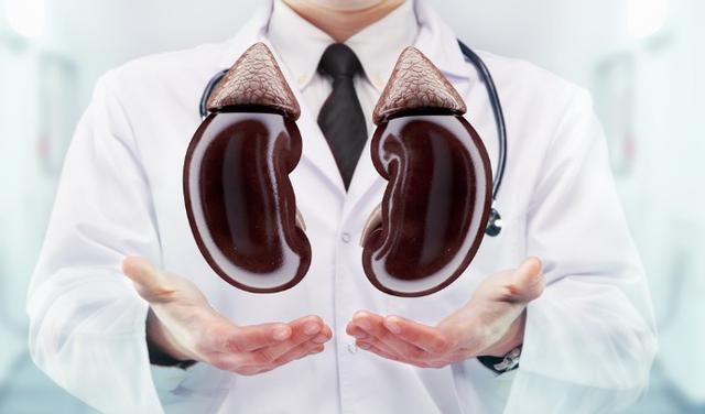 20款补肾煲汤食谱 20款补肾煲汤食谱