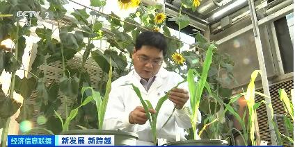 今年，城镇新增劳动力1500万人！企业凭实力筑巢引凤“冷门”专业人才就业不冷→