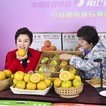 南宁市新平路是哪个区域