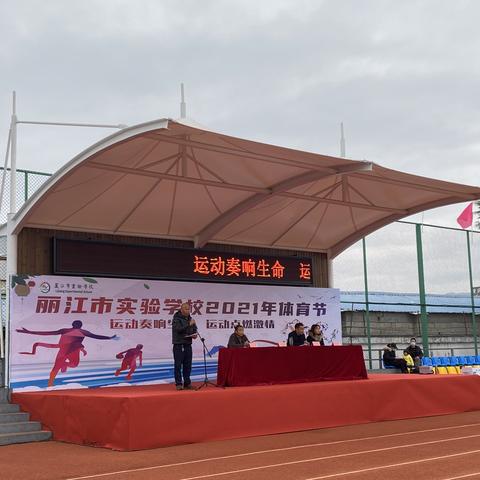 体育新闻（体育新闻，赛场上的激情与荣耀时刻）