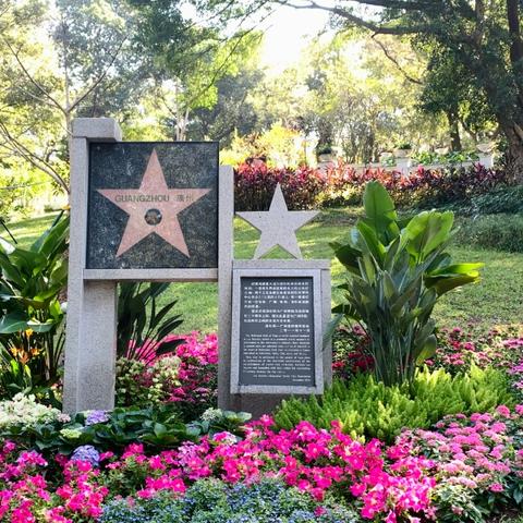 广州市花为什么是木棉？