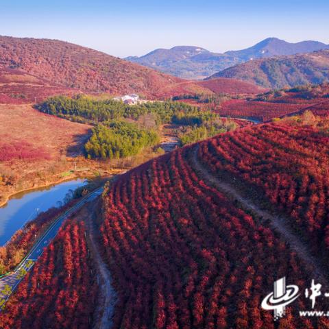 庐江一周天气预报的长尾关键词有哪些