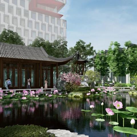 苏州市有什么乡镇大学嘛