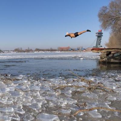 哈尔滨狗狗泳池相关长尾关键词有哪些