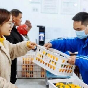 跨境电商农产品监管政策的相关长尾关键词是那些