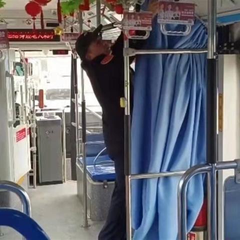 长沙市代表什么花
