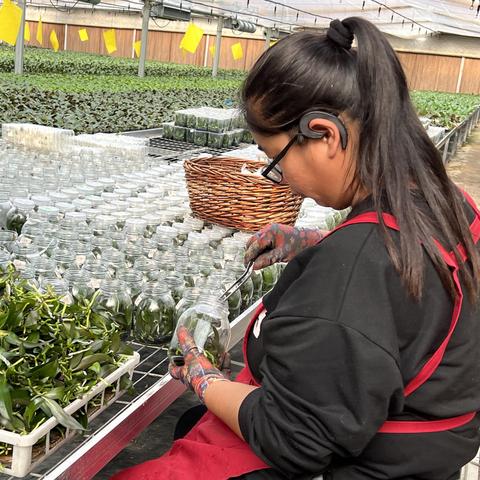 潍坊市良种厂的长尾关键词有什么