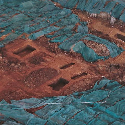 中山大学南校区专业？