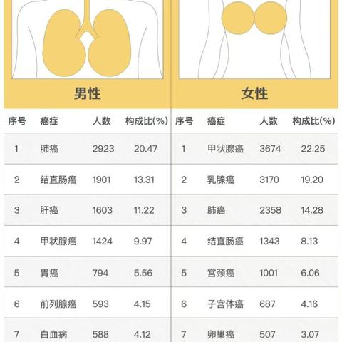深圳市慢性肾病可以申请慢性病吗？
