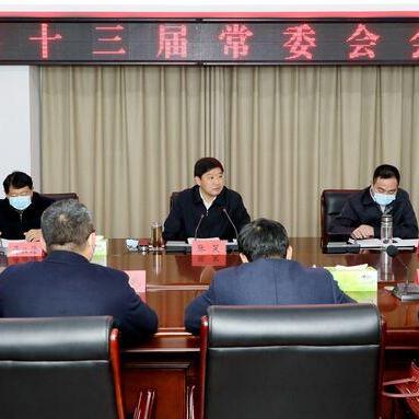 广州市砍伐什么树