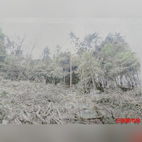 法官长沙相关长尾关键词有哪些