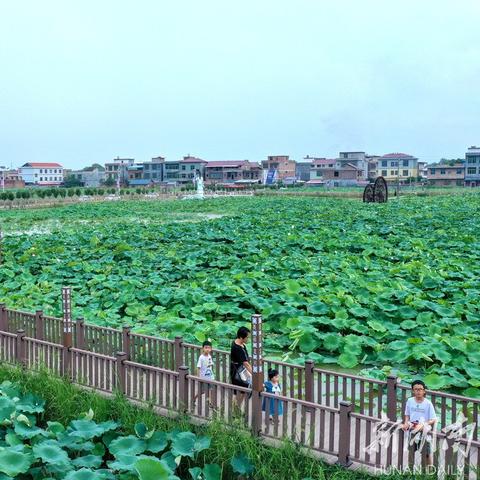 兰州荷花宾馆的相关长尾关键词有哪些