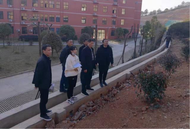地质灾害与环境保护论文答辩稿如何评价电影夏日大作战