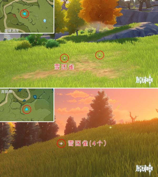 原神捕捉宠物怎么放（原神可以捕捉的宠物犬）