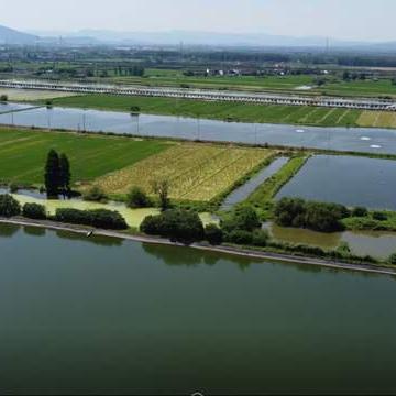 无锡市文明养犬条例的长尾关键词有什么
