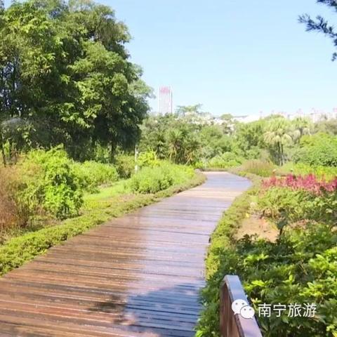 南宁 徒步的相关长尾关键词有哪些