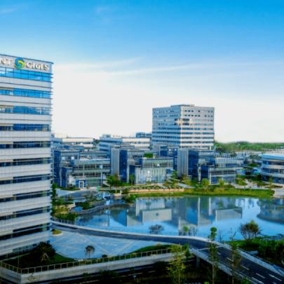 浙江省温州市烟花的长尾关键词有什么