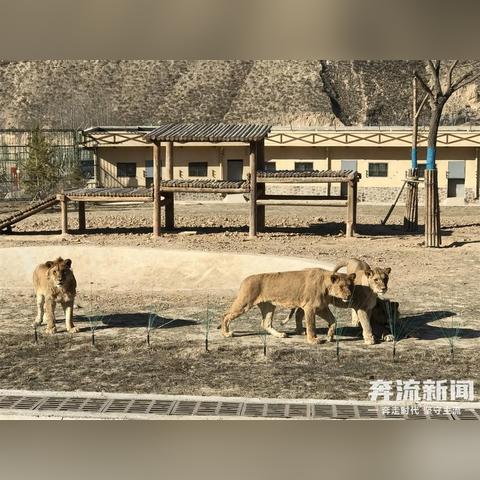 兰州市地暖装饰装潢的相关长尾关键词有哪些