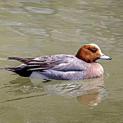 游泳用品兰州市哪里有卖