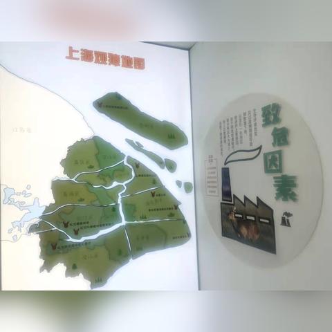 关于獐在上海绝迹的时间相关关键词有哪些
