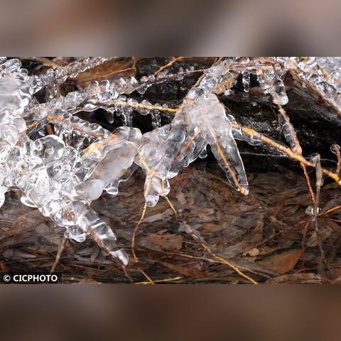 沈阳市和邯郸市哪个好考