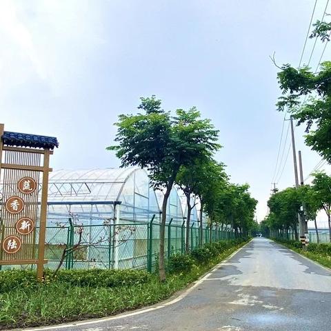 上海数据评估机构有哪些