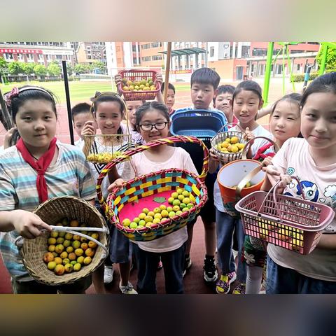 合肥市体育学校怎么样